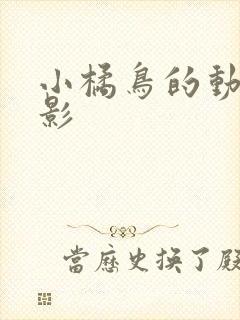 小橘鸟的动画电影