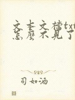 文本文档txt怎么不见了