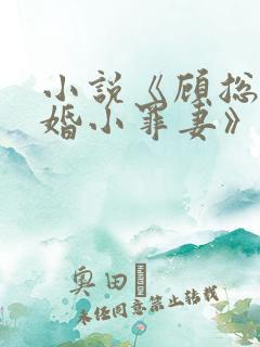 小说《顾总的隐婚小罪妻》