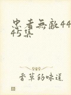 忠者无敌44集45集