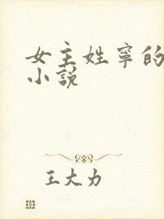 女主姓宁的现代小说