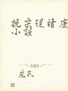 挽宋从靖康开始小说