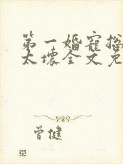 第一婚宠总裁别太坏全文免费阅读
