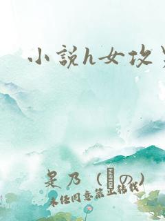 小说h女攻男受