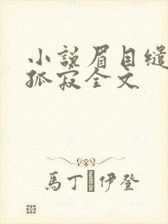 小说眉目缱绻中孤寂全文