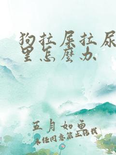 狗拉屎拉尿在家里怎么办
