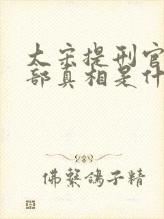 大宋提刑官第二部真相是什么