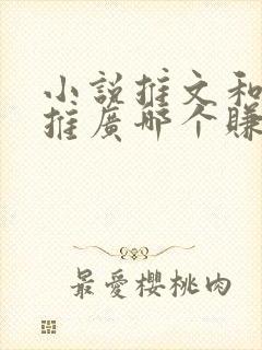 小说推文和短剧推广哪个赚钱