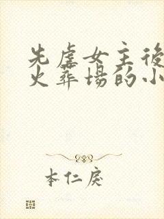 先虐女主后追妻火葬场的小说古言