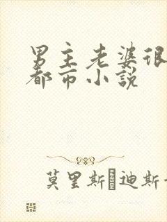 男主老婆很多的都市小说