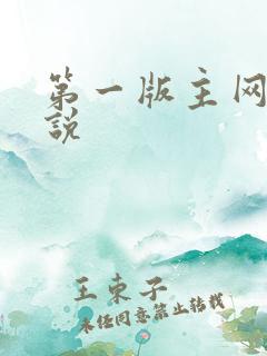 第一版主网 小说