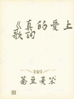 《真的爱上你》歌词