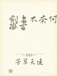 剑名不奈何剧透排雷