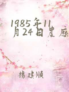 1985年11月24日农历生辰八字