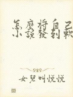 怎么将自己写的小说发到软件上
