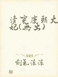 清穿康熙大选庶妃(无出)