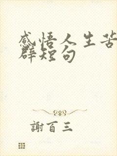 感悟人生苦短精辟短句