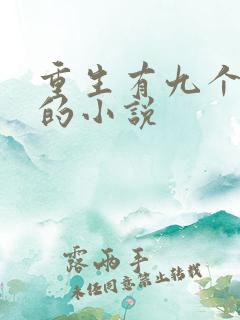 重生有九个女儿的小说