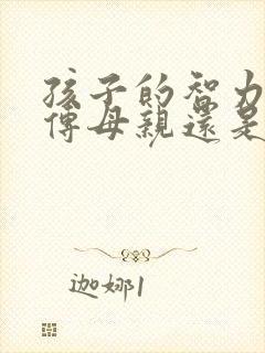 孩子的智力是遗传母亲还是父亲