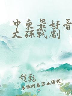 中东最好看的十大谍战剧