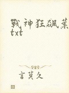 战神狂飙叶无缺txt
