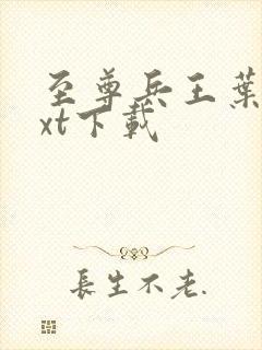 至尊兵王叶枫txt下载
