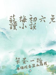 苏梅初六免费阅读小说
