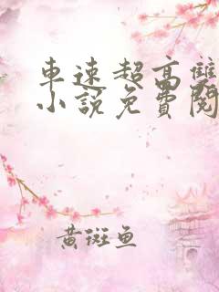 车速超高双男主小说免费阅读