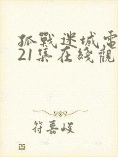 孤战迷城电视剧21集在线观看