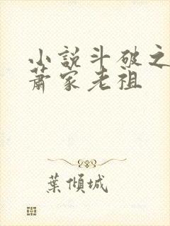 小说斗破之我乃萧家老祖