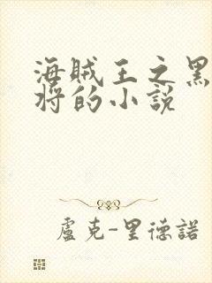 海贼王之黑暗大将的小说