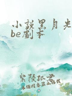 小说黑月光拿稳be剧本 小说黑月光拿稳be剧本