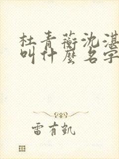 杜青蘅沈湛小说叫什么名字啊