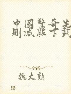 中国惊奇先生无删减版下载