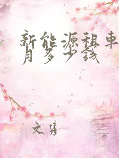 新能源租车一个月多少钱