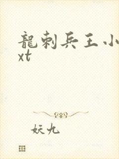 龙刺兵王小说txt