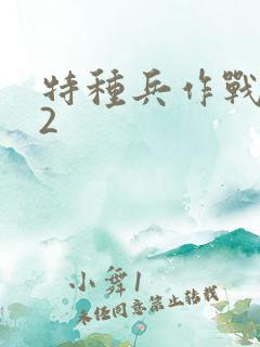 特种兵作战小组2