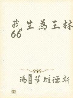 我生为王林北166