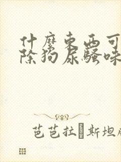 什么东西可以去除狗尿骚味