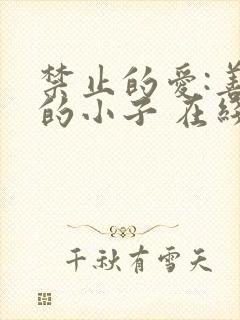 禁止的爱:善良的小子 在线观看