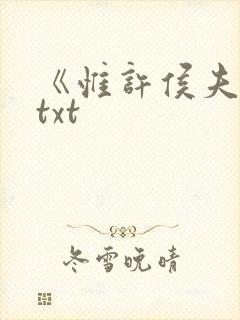 《惟许侯夫人》txt