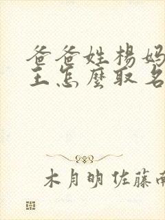 爸爸姓杨妈妈姓王怎么取名