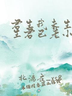 君生我未生,我生君已老小说