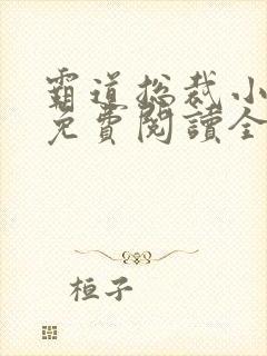 霸道总裁小娇妻免费阅读全文