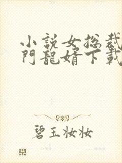 小说女总裁的上门龙婿下载