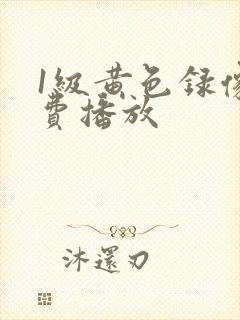1级黄色录像免费播放