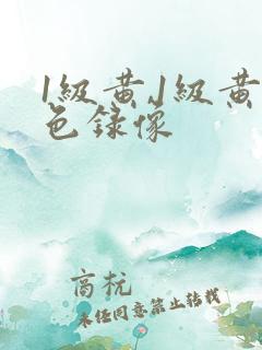 1级黄,1级黄色录像
