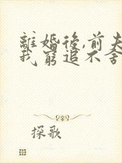离婚后,前夫对我穷追不舍温初颜小说最新