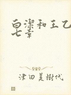 白洁和王乙第十七章