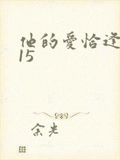 他的爱恰逢其时15